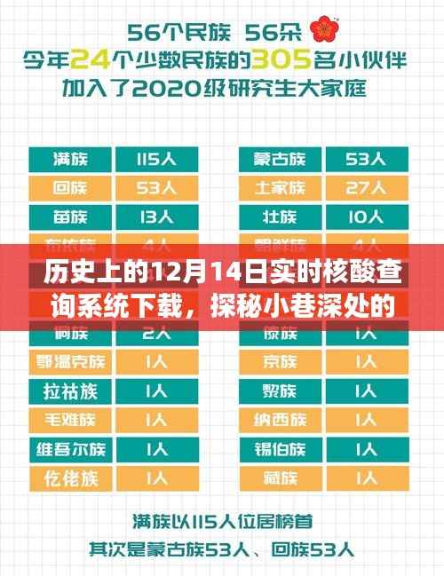 历史上的十二月十四日实时核酸查询系统与特色小店宝藏之旅的探秘体验下载分享