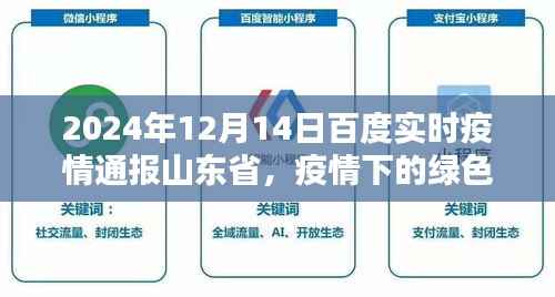 山东省疫情通报,自然美景呼唤脚步,绿色避风港助力抗疫之路