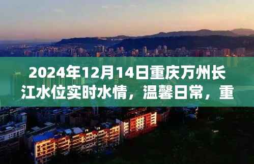 重庆万州长江水位实时更新与河畔的温馨日常及深厚友情
