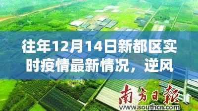 往年12月14日新都区实时疫情最新动态,逆风砥柱,学习之光,鼓舞人心之旅