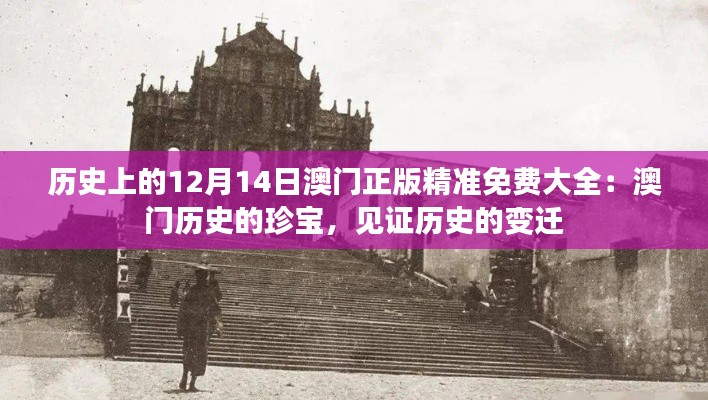 历史上的12月14日澳门正版精准免费大全:澳门历史的珍宝,见证历史的变迁