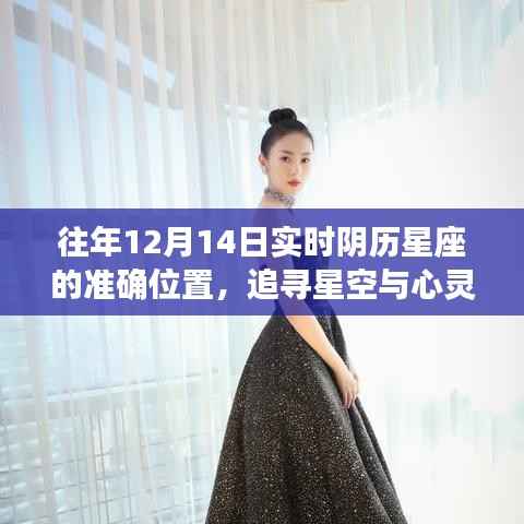 阴历星座指引下的星空心灵之旅，追寻宁静之美的星座位置解析（12月14日）