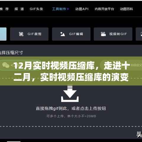 实时视频压缩库演变与影响,十二月深度解析