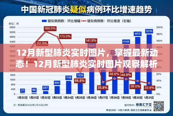 12月新型肺炎实时图片观察解析步骤指南,掌握最新动态