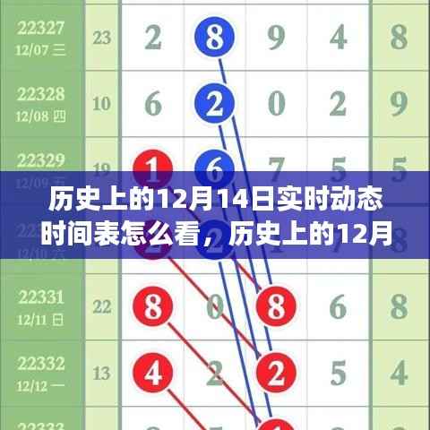 历史上的12月14日实时动态时间表详解,解读与应用评测指南