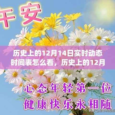 历史上的12月14日实时动态时间表详解,解读与应用评测指南