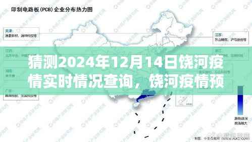 2024年12月14日饶河疫情实时分析与预测,探索未来的防疫之路