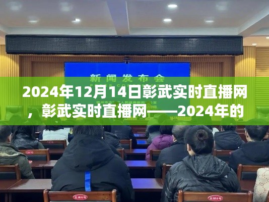 2024年传媒焦点,彰武实时直播网