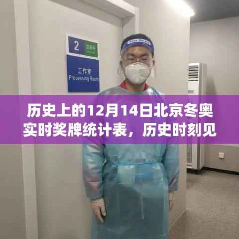 北京冬奥历史时刻见证荣耀，实时奖牌统计表揭示自信与成长之路