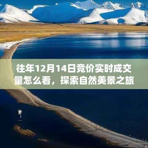 往年12月14日竞价实时成交量解析与探索自然美景的心灵之旅,寻找宁静与乐趣的完美结合