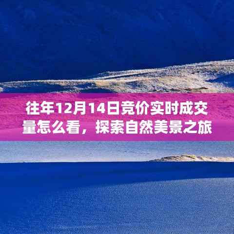 往年12月14日竞价实时成交量解析与探索自然美景的心灵之旅,寻找宁静与乐趣的完美结合