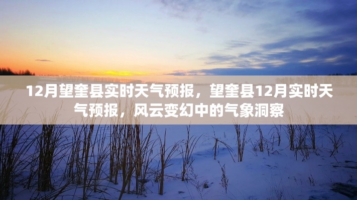 风云变幻中的望奎县12月实时天气预报洞察