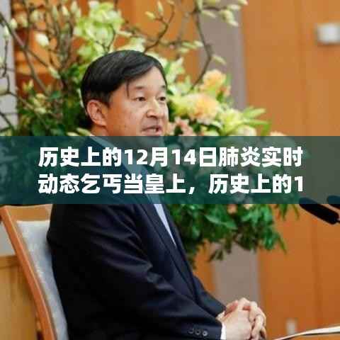 揭秘历史上的特殊日子,肺炎动态下的乞丐登基之路,探寻命运转折的12月14日