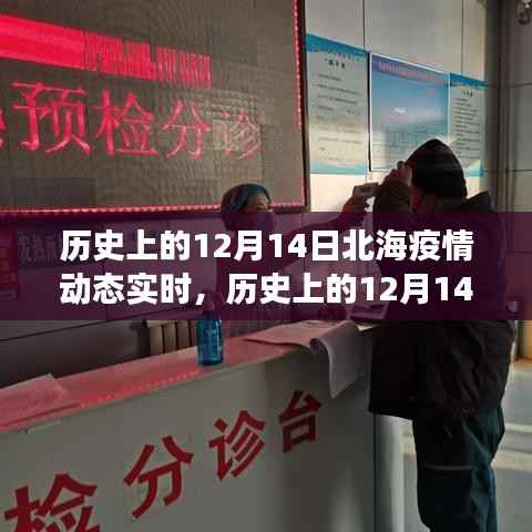 历史上的12月14日北海疫情动态实时,多维度视角下的审视与观点阐述