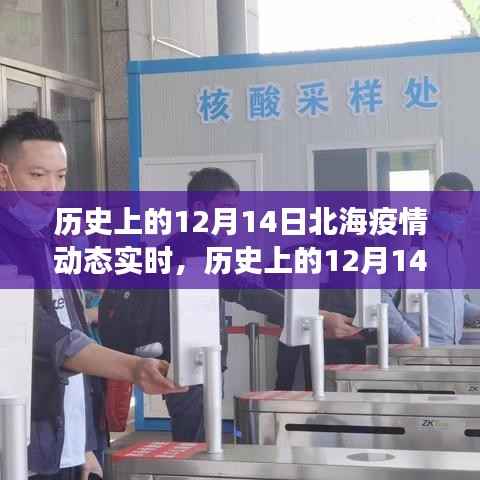历史上的12月14日北海疫情动态实时,多维度视角下的审视与观点阐述
