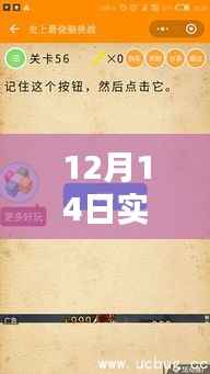 揭秘12月14日实时战线小程序,全面评测与详细介绍