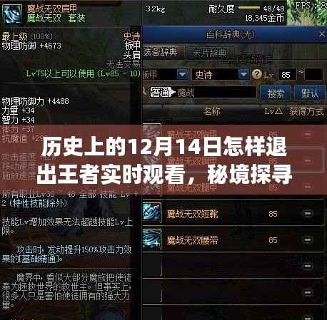 揭秘历史中的十二月十四日，探寻秘境、退出王者实时观看与巷子深处的秘密