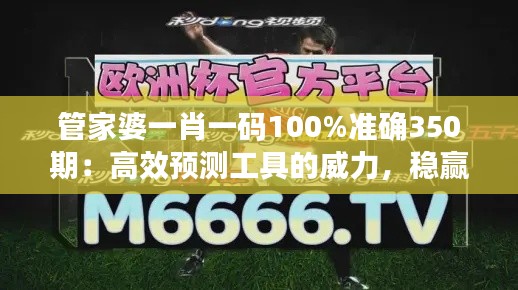 管家婆一肖一码100%准确350期:高效预测工具的威力,稳赢的秘诀