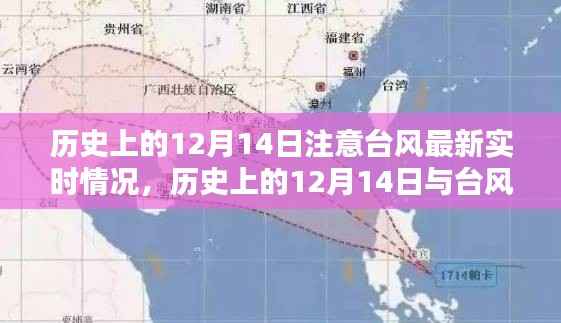 历史上的12月14日台风深度解析与实时关注,最新动态及关注焦点