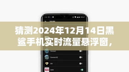 黑鲨手机实时流量悬浮窗的未来预测与深远影响,2024年12月14日的展望