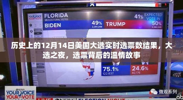 美国大选之夜,选票背后的温情故事与实时结果回顾