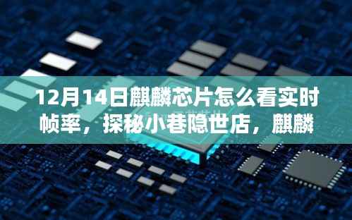 麒麟芯片下的实时帧率魔法,探秘小巷隐世店,12月14日实时帧率全解析