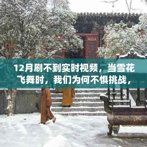 12月雪舞之际,不惧挑战,拥抱学习新机遇