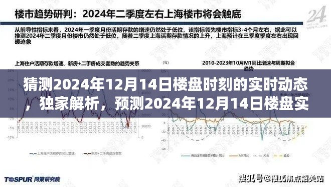 独家预测,揭秘2024年12月14日楼盘实时动态全面评测与实时动态猜测分析