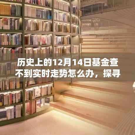 应对基金实时走势缺失,探寻历史迷雾中的应对之道在基金查不到实时走势的12月14日