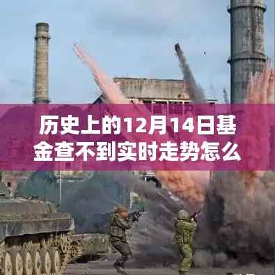 应对基金实时走势缺失,探寻历史迷雾中的应对之道在基金查不到实时走势的12月14日