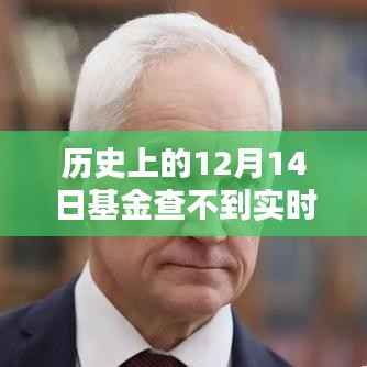 应对基金实时走势缺失,探寻历史迷雾中的应对之道在基金查不到实时走势的12月14日