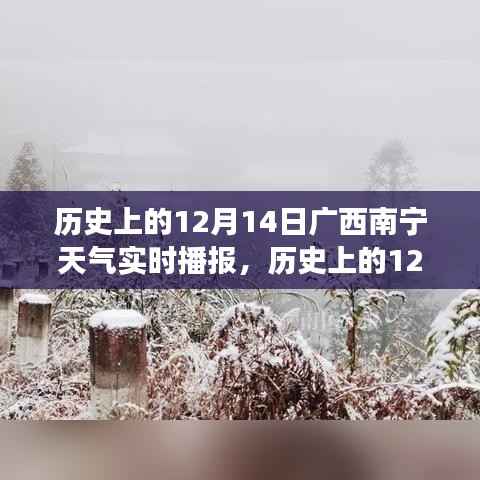 历史上的广西南宁12月14日天气实时播报，探寻冬日天气的变迁历程