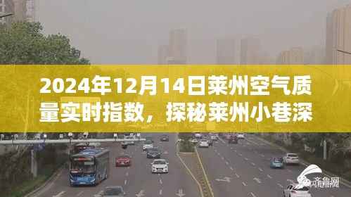莱州空气质量实时报告,小巷深处的绿色呼吸与独特小店的奇妙邂逅(2024年12月14日)