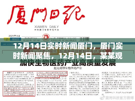 厦门实时新闻聚焦,深度解读某某观点,12月14日最新动态