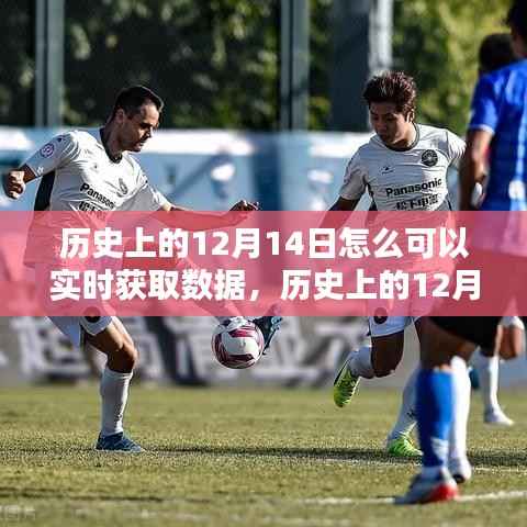 历史上的12月14日实时数据获取方法与策略探讨