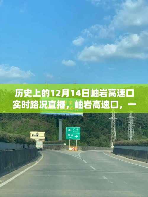 岫岩高速口直播纪实,温情故事在直播中传递爱与陪伴