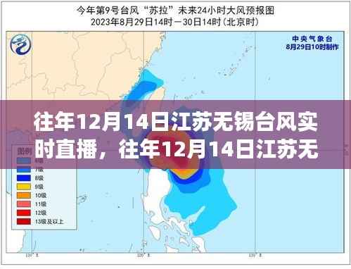江苏无锡台风实时直播回顾,城市应对与公众关注聚焦的气象灾害探讨