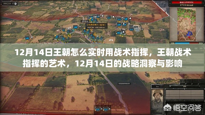 12月14日王朝战术指挥艺术,实时战略洞察与影响