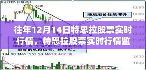 科技引领投资新时代,特思拉股票实时行情监控器解析往年数据,洞悉市场趋势