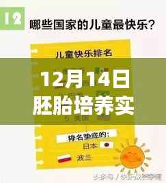 揭秘时代科技新里程碑,12月14日胚胎培养实时结果全景展现图片集萃