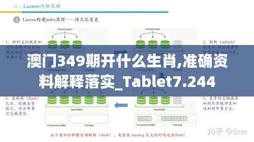 澳门349期开什么生肖,准确资料解释落实_Tablet7.244