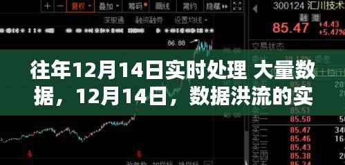 时代印记下的数据洪流实时处理,揭秘12月14日的挑战与机遇