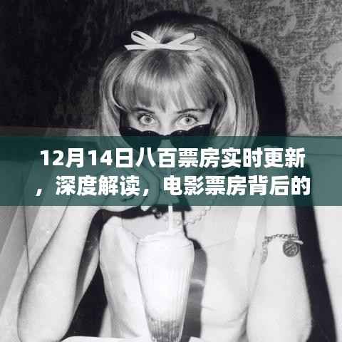 深度解读,电影票房背后的故事——12月14日八百票房实时更新分析