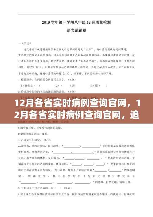 12月各省实时病例查询官网,追溯背景,记录重大事件的时代印记