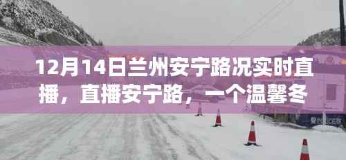 温馨冬日安宁路实况直播，探寻奇妙旅程的实时路况播报