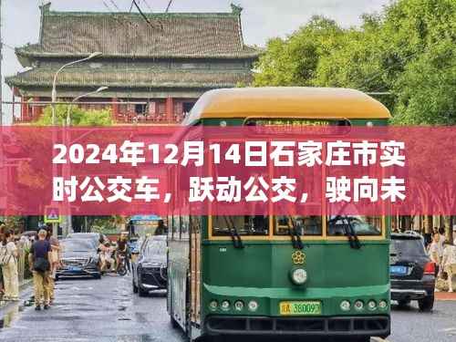 跃动公交,驶向未来的自信与成就——石家庄公交之旅纪实(2024年12月14日)