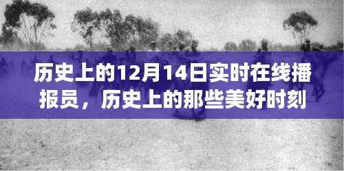 历史上的美好时刻,12月14日在线播报员带你领略自然美景的治愈之旅回顾