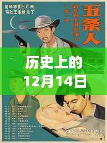 全新冠时代下的自然秘境之旅,历史上的十二月十四日回顾与实时动态