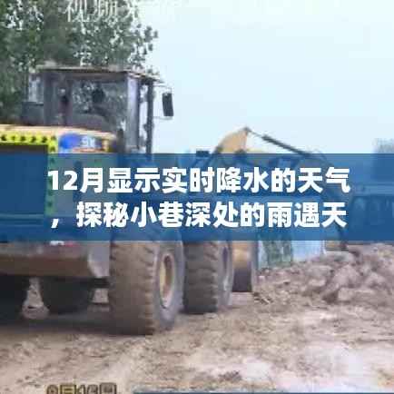 实时降水探秘,小巷深处的雨遇天堂,与降水共舞的特色小店