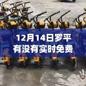 罗平市12月14日车辆实时免费上牌信息解读